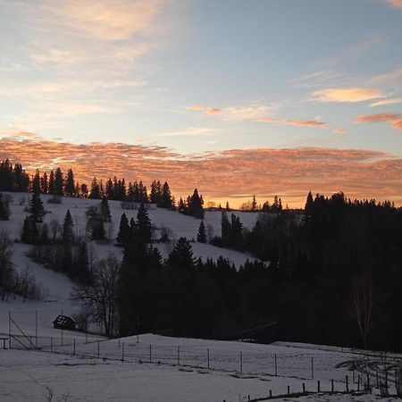 Sielanka W Gorach Villa Gliczarow Gorny Dış mekan fotoğraf